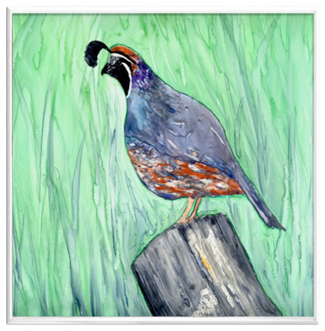 456x465 Watercolor California Quail, Valley Bird Print