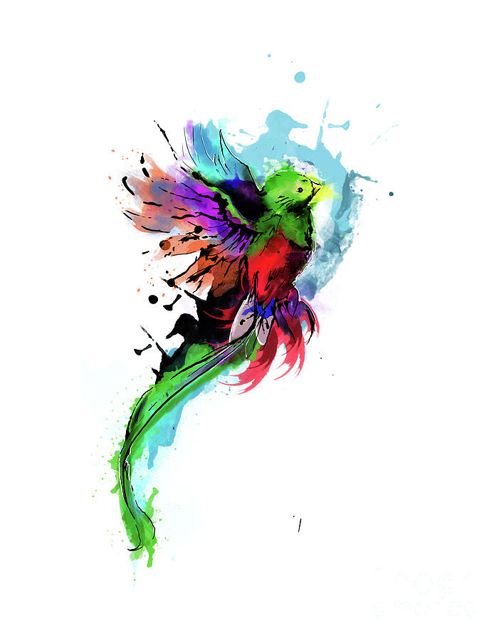 708x900 Watercolor Quetzal Digital Art By Diego Robles