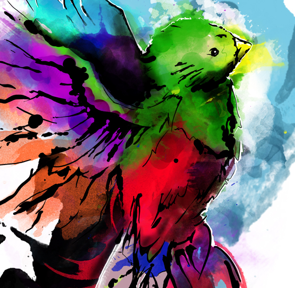596x583 Watercolor Quetzal On Pantone Canvas Gallery