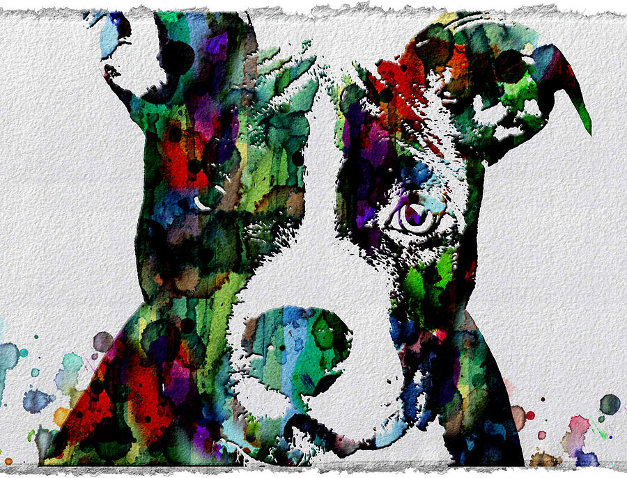 900x687 Watercolor Dog Art Prints And Posters Painting By Robert R Splashy