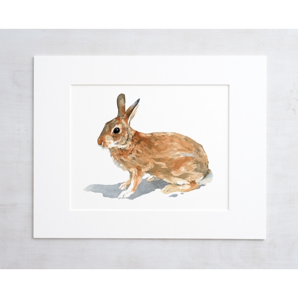 600x600 Rabbit Watercolor Print David Scheirer Watercolors