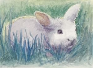 Rabbit Watercolor Painting