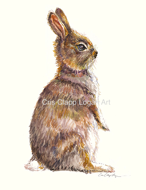 491x639 Baby Bunny Rabbit Original Watercolor Painting