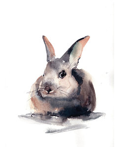 252x300 Rabbit Watercolor Paintings Fine Art America