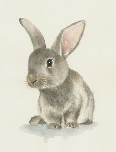 236x308 Rabbit Watercolor Original Bunny Painting By Ddrawings On Etsy