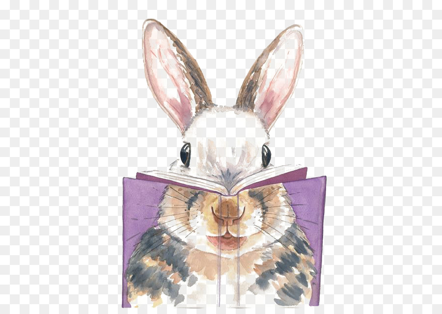 900x640 Watercolor Painting Rabbit Artist