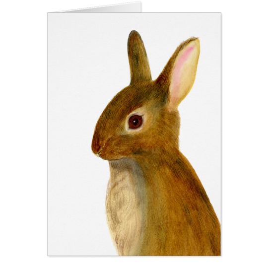540x540 Baby Rabbit Watercolor Painting Wildlife Artwork Zazzle.co.uk