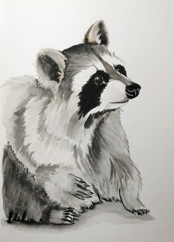 570x794 Original Raccoon Watercolor Painting Nursery Racoon Etsy