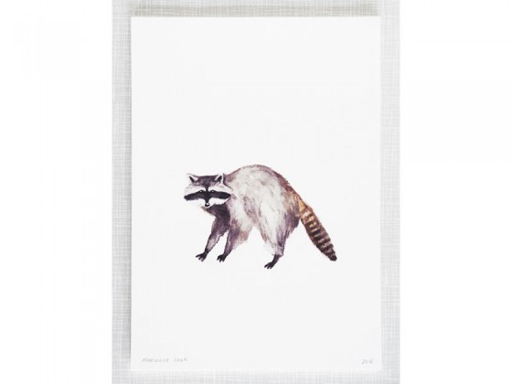 560x420 Raccoon Watercolor Print By Mary Amp The Locks