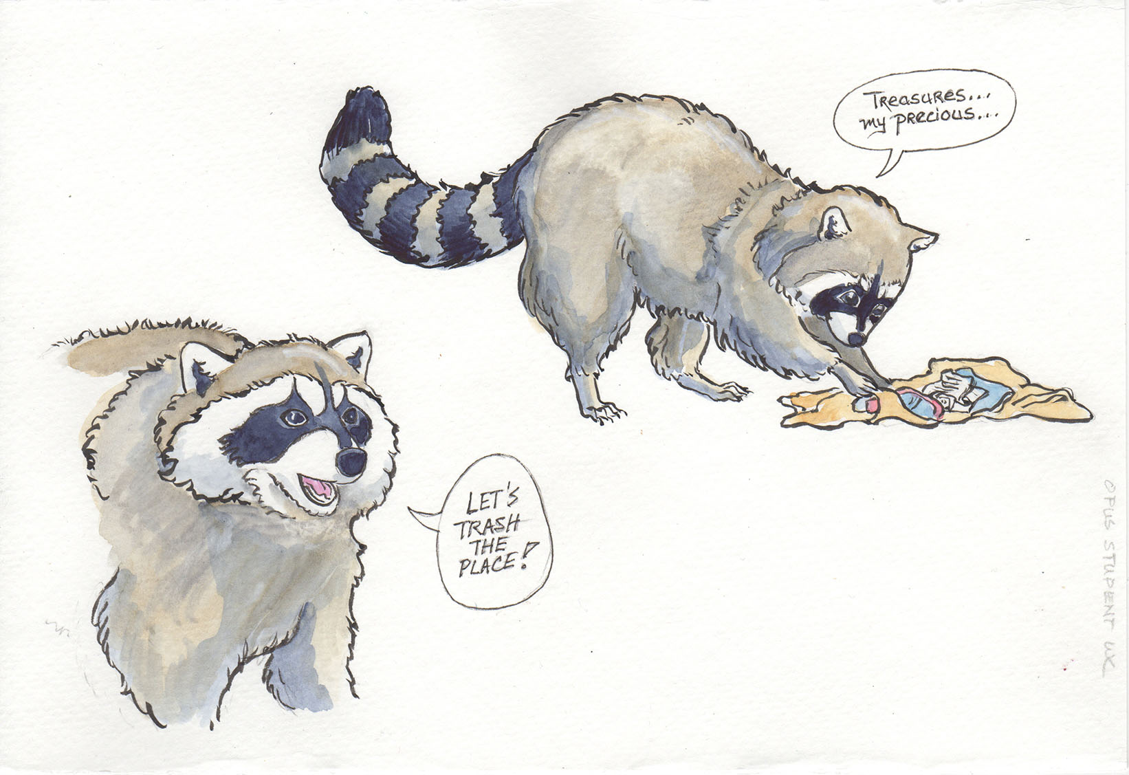 1642x1127 Testing Watercolour Paper With Renfrew The Raccoon Karen