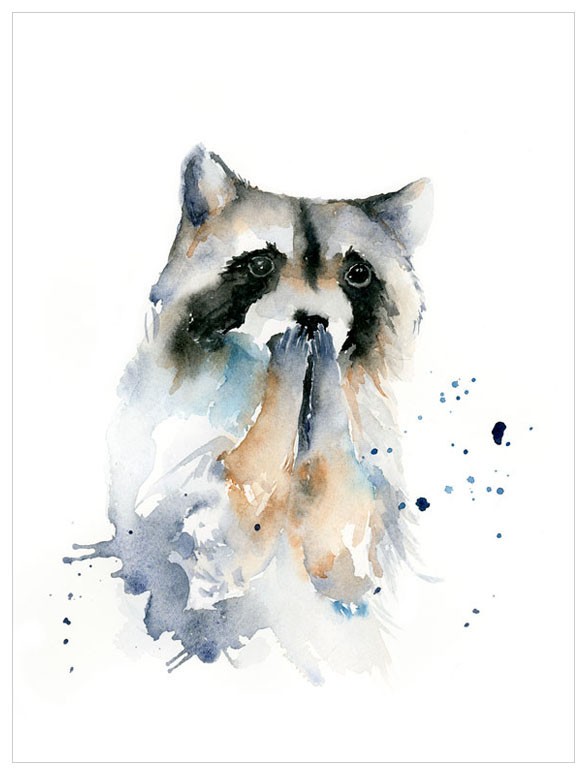 587x775 Watercolor Raccoon Shop Babybliss