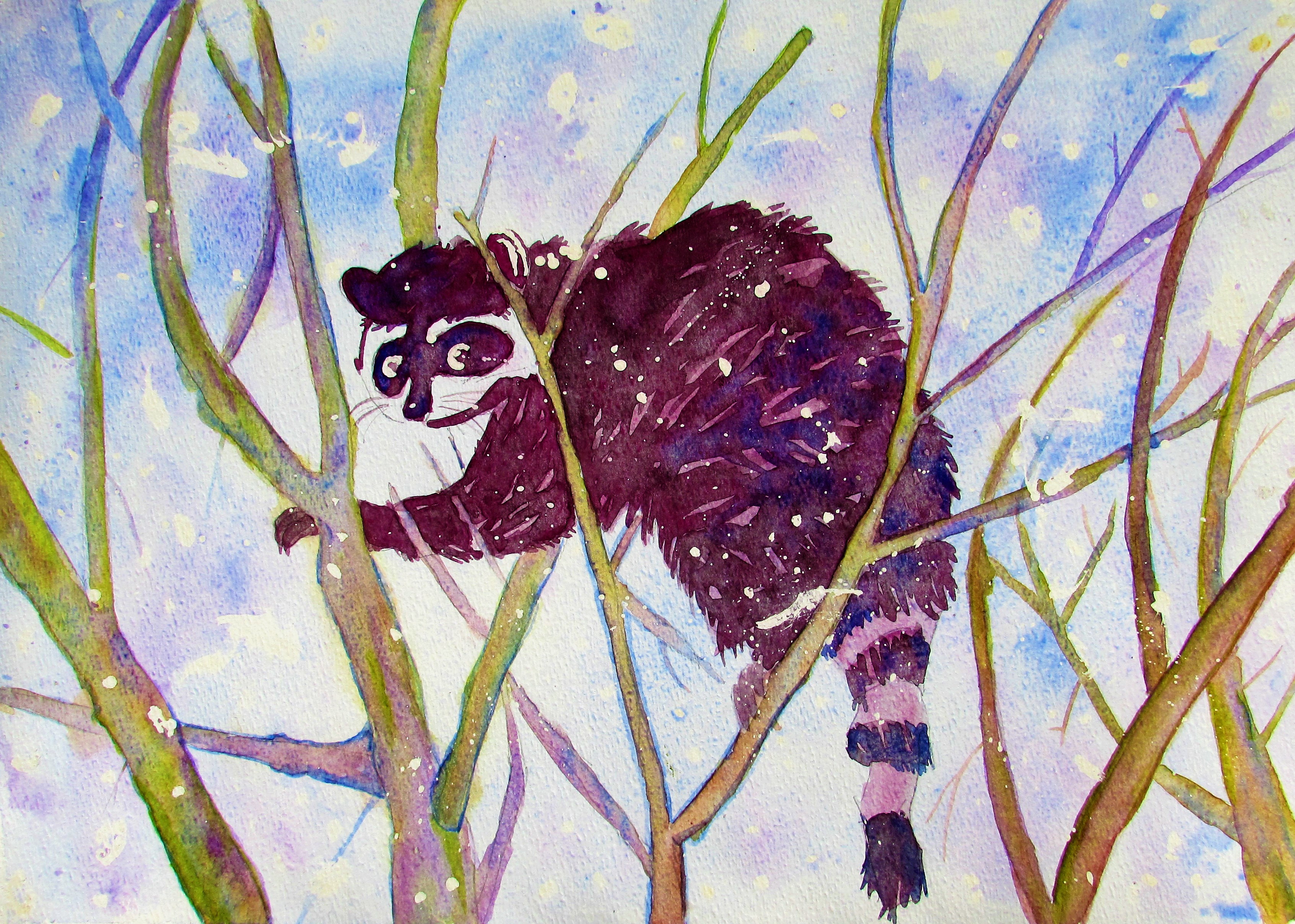 3386x2416 Watercolor Raccoon Choosy Beggar Books