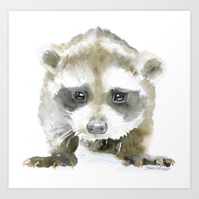 700x700 Baby Raccoon Watercolor Art Print By Susanwindsor Society6