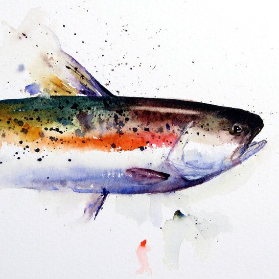 570x570 Rainbow Trout Original Watercolor Painting By Dean Crouser Art