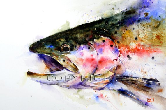 570x380 Rainbow Trout Watercolor Fish Print Fish Art Trout Painting Etsy