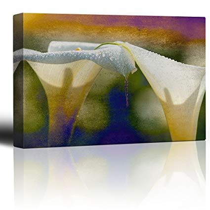 425x425 Wall26 Cala Lilies On A Rainbow Watercolor Paint