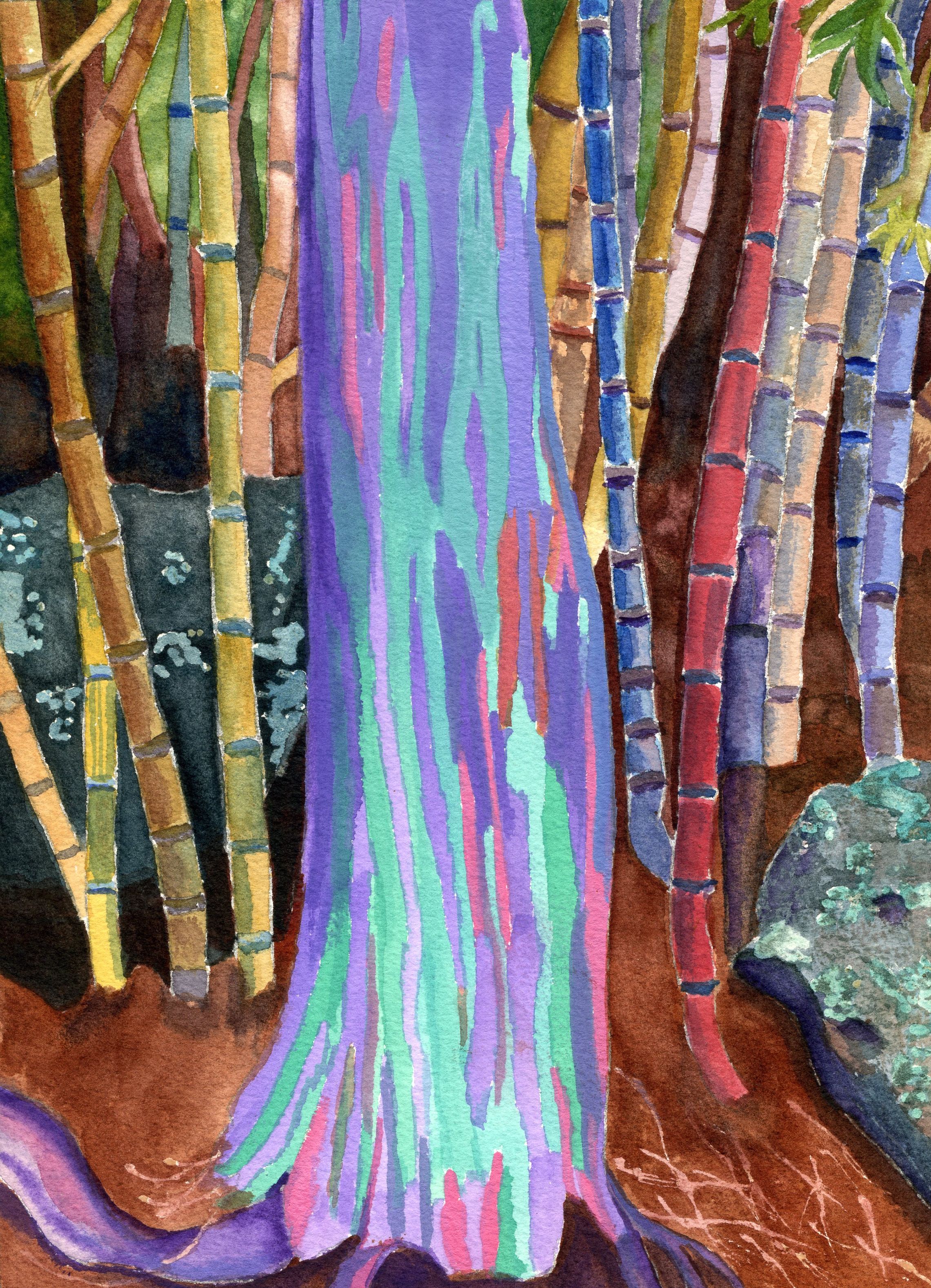 2281x3155 Paintings For Sale Rainbow Eucalyptus Tree Watercolor Painting