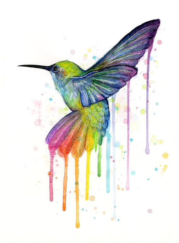 570x773 Hummingbird Art Print Rainbow Watercolor Animal Painting Etsy