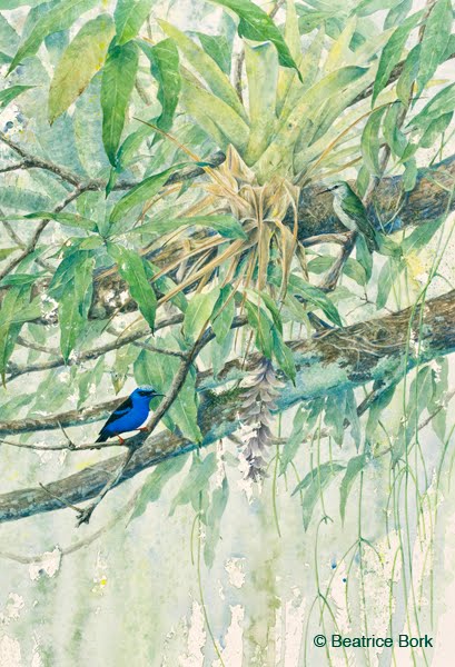 409x600 Rainforest Rendezvous Is A New Watercolor Paint