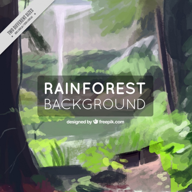 626x626 Watercolor Rainforest Background Vector Free Download