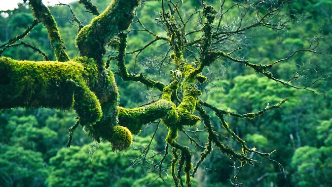 655x370 Watercolor Rain Tumblr