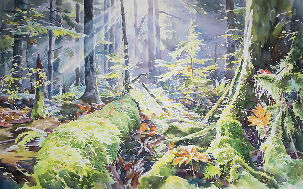 1000x626 Forest David Mceown Artist Journeys