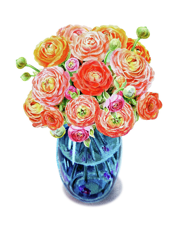 720x900 Ranunculus Bouquet Blue Vase Watercolor Painting By Irina Sztukowski