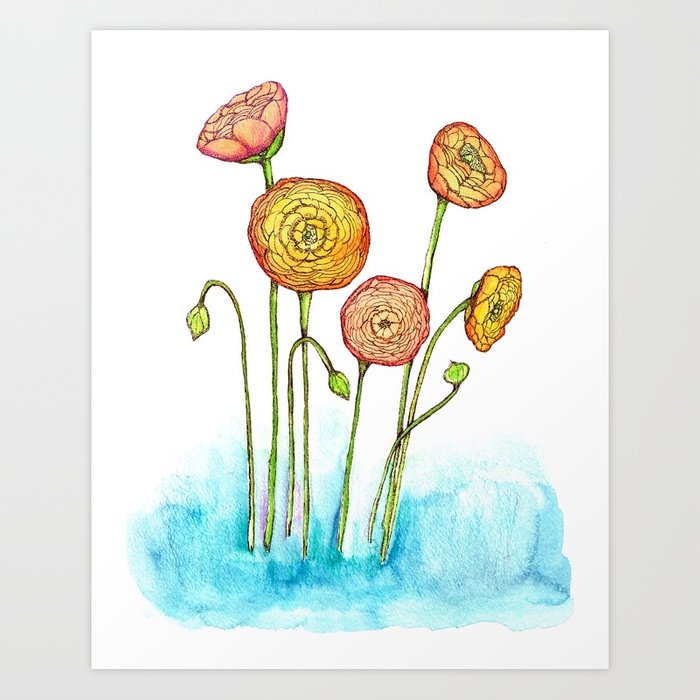 700x700 Ranunculus Flowers Watercolor Illustration Art Print By