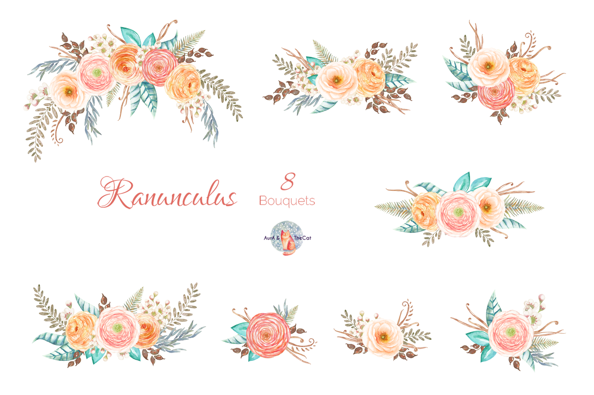 1160x772 Ranunculus Watercolor By Auraandthecat