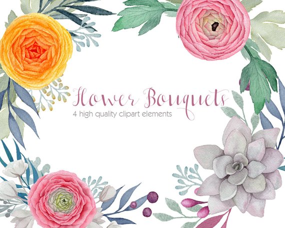 570x456 Ranunculus Watercolor Clipart Flower Clip Arts Succulent