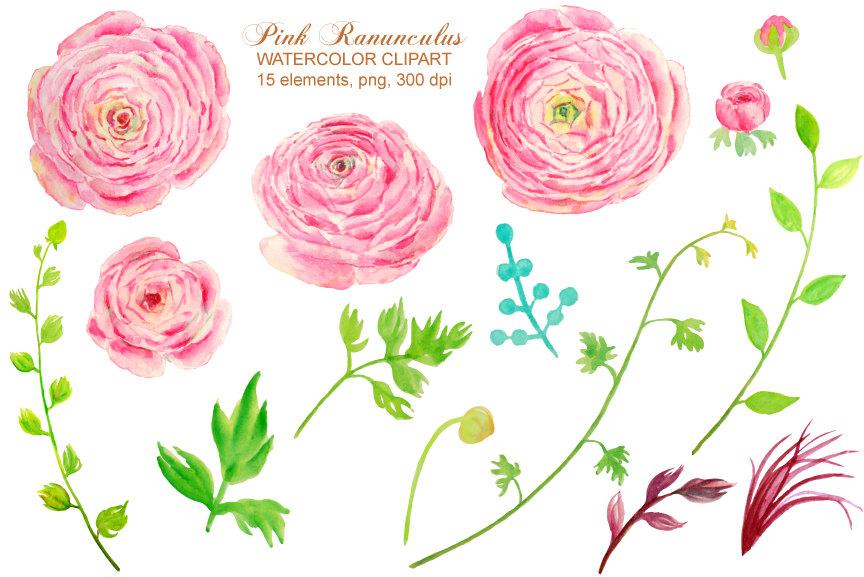 864x577 Watercolor Pink Ranunculus Printable Instant Download Corner Croft