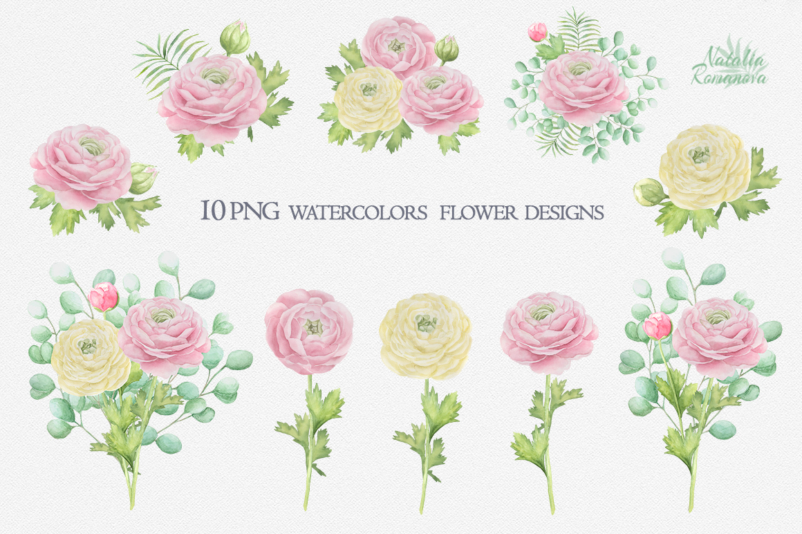 1160x772 Watercolor Ranunculus. By Brushartdesigns