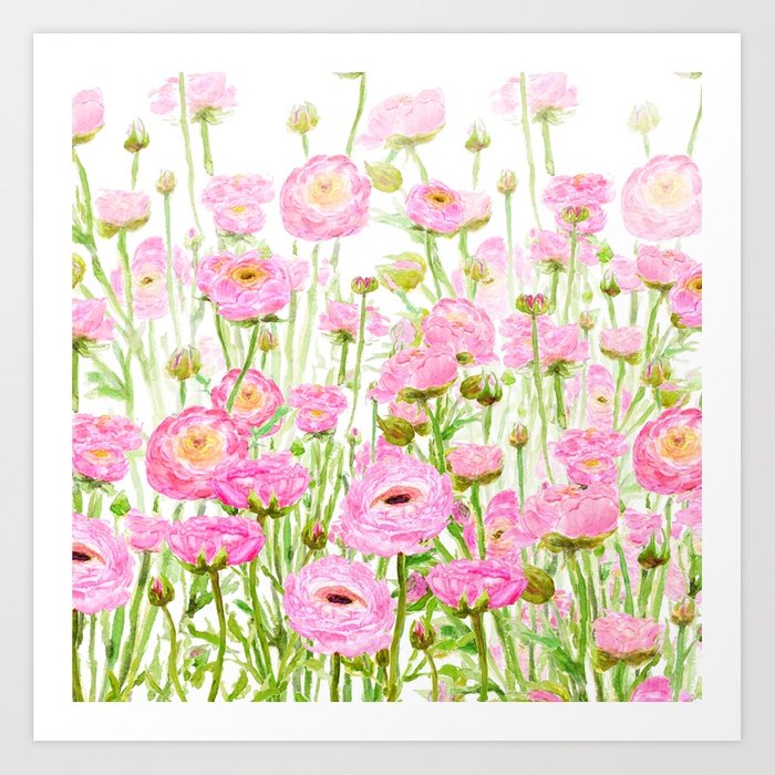 700x700 Pink Buttercup Ranunculus Field Watercolor Art Print By