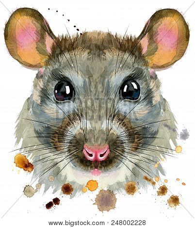 402x470 Cute Rat For T Shirt Graphics. Watercolor Rat Illustration Photo Stock