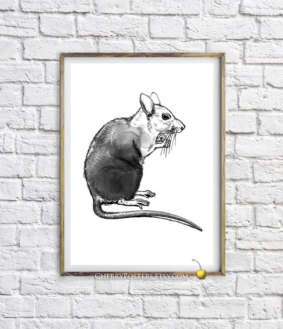 570x662 Radioactive Rat Watercolor Print Home Decor Wall Art Rat Etsy