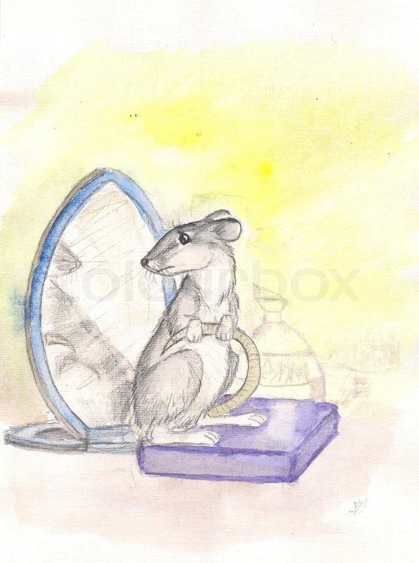 596x800 Rat And A Mirror. Watercolor Stock Photo Colourbox