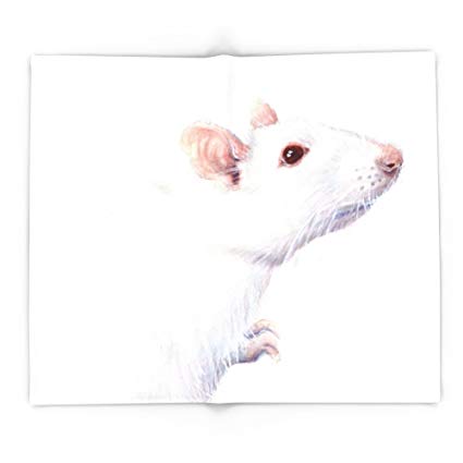 425x425 Society6 White Rat Watercolor Albino Rat 88 X 104