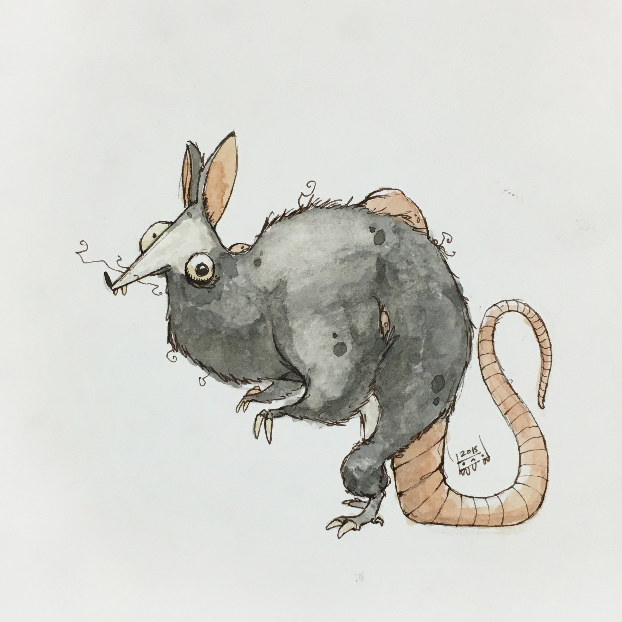2164x2164 Bubonic Plague Rat
