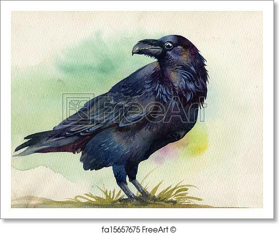 560x470 Free Art Print Of Black Raven Watercolor Painting Freeart