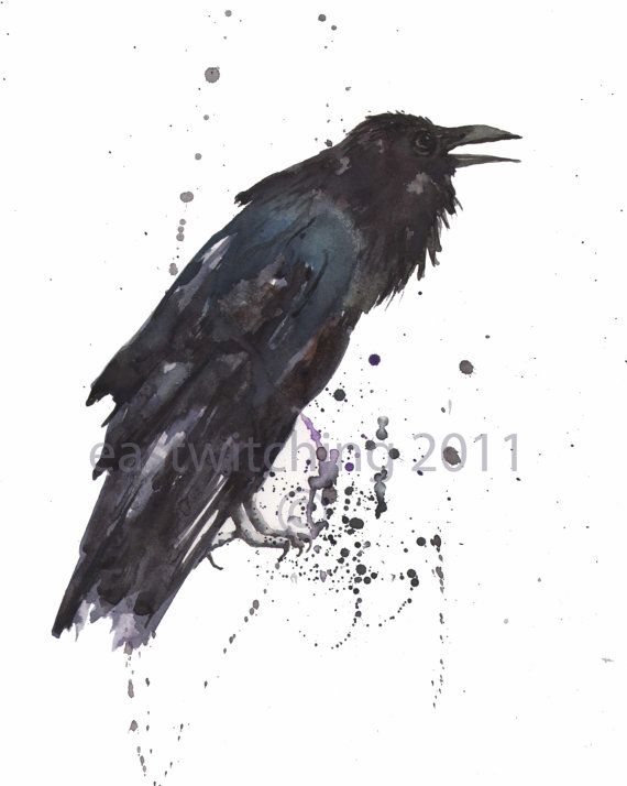 570x714 Raven Watercolor Print, Raven Lover Gift, 8x10 Print In 2018