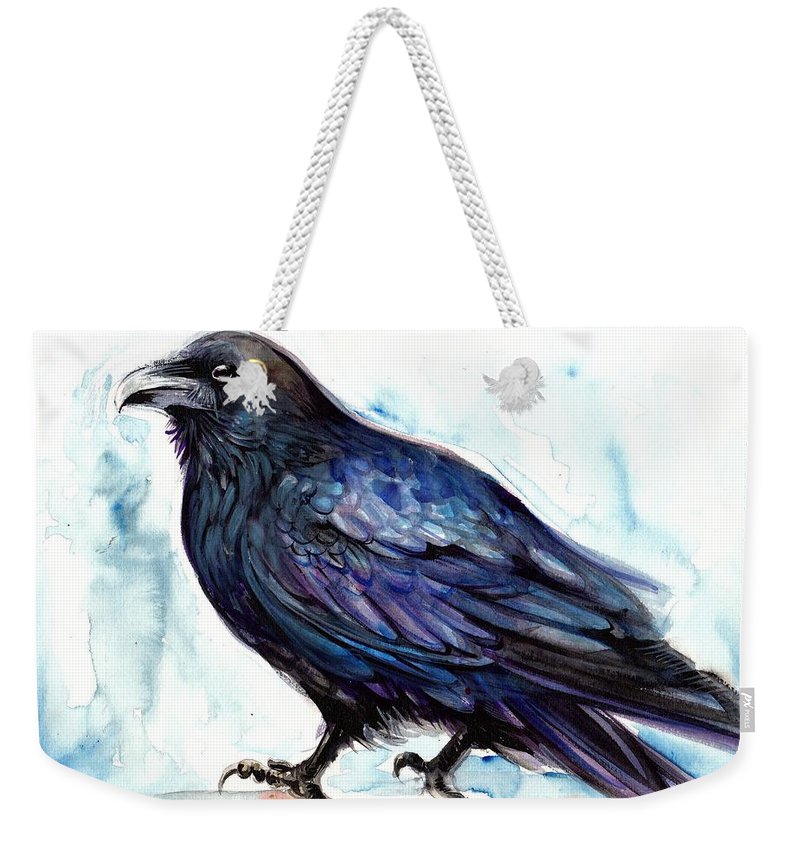 800x845 Raven Resting