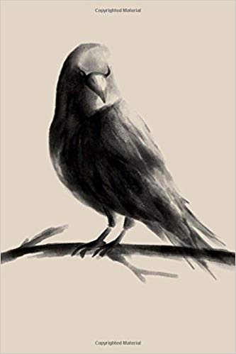 333x499 Raven Watercolor Art Journal 150