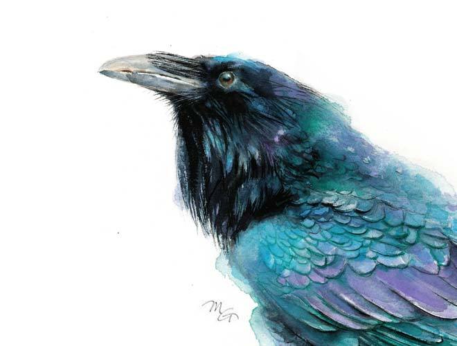 660x500 Raven Watercolor Blue Purple Black Teal Bird Archival Print Mira