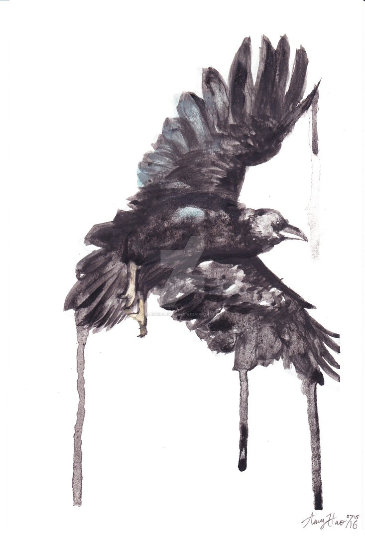 733x1090 Watercolor Raven By Darkwingedangel616