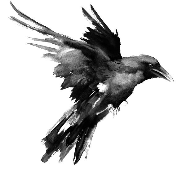 600x600 Watercolor Black And Grey Raven Tattoo Design