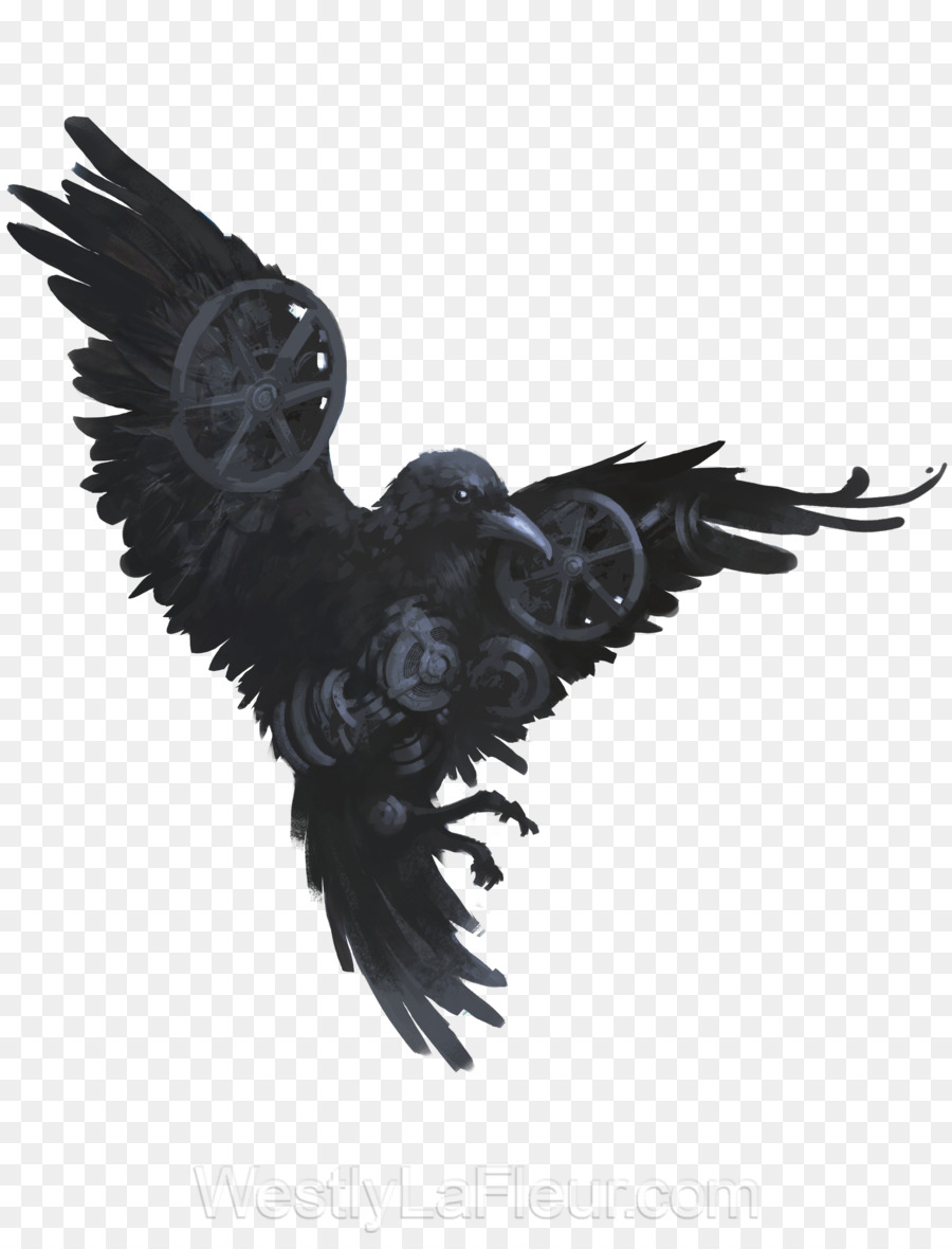 900x1180 American Crow Common Raven Bird Drawing Art