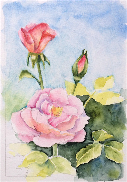 500x715 How To Paint Realistic Watercolor Roses