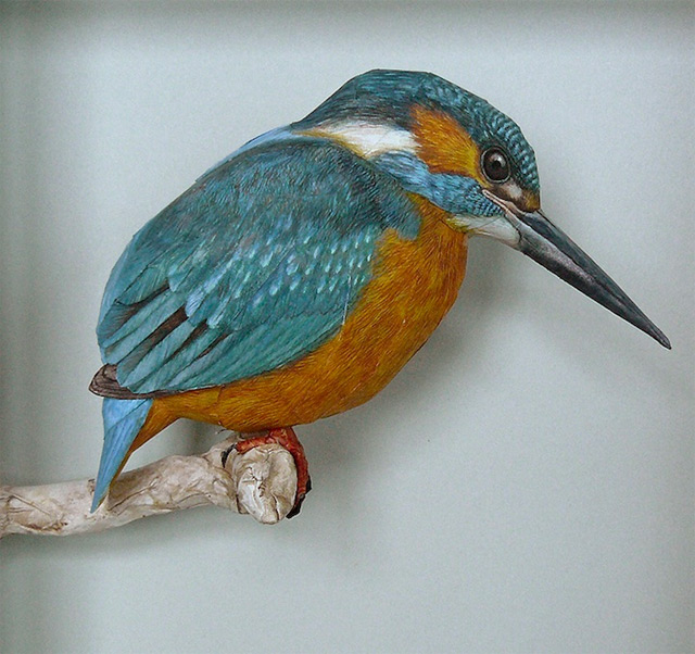 640x602 Realistic Birds Made From Paper And Watercolor Paint By Johan