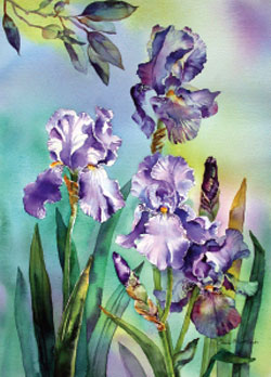 250x348 How To Paint Flowers Using Wet In Wet Watercolour Paint
