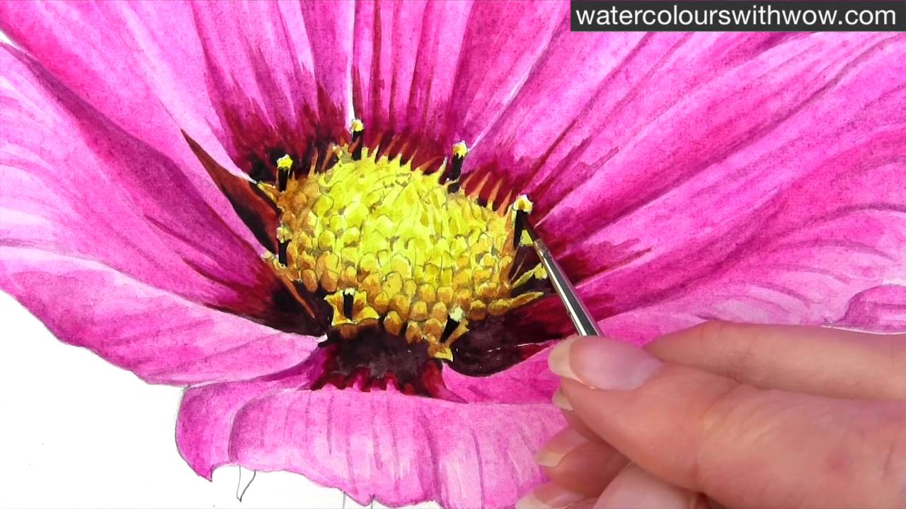 1280x720 How To Paint A Realistic Flower Centre Using Tone